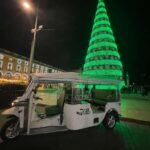 Christmas Lights in Lisbon : Private tuktuk tour - From Praça de Comércio’s Christmas Tree to Liberdade’s Falling Lights
