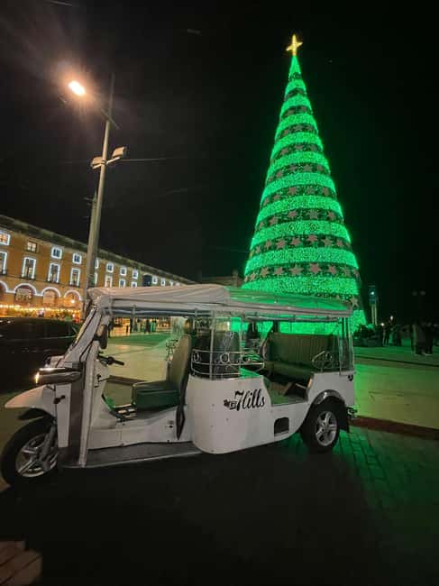 Christmas Lights in Lisbon : Private tuktuk tour - From Praça de Comércio’s Christmas Tree to Liberdade’s Falling Lights