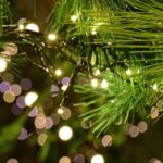 Christmas Tales in Canterbury  Private Walking Tour - Starting at St Augustines Abbey: The Gateway to Canterbury’s History and Festivities