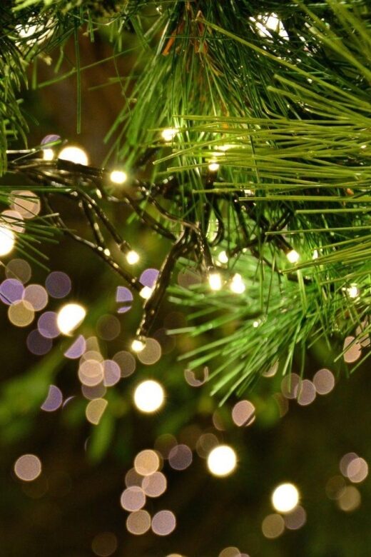 Christmas Tales in Canterbury Private Walking Tour - Starting at St Augustines Abbey: The Gateway to Canterbury’s History and Festivities