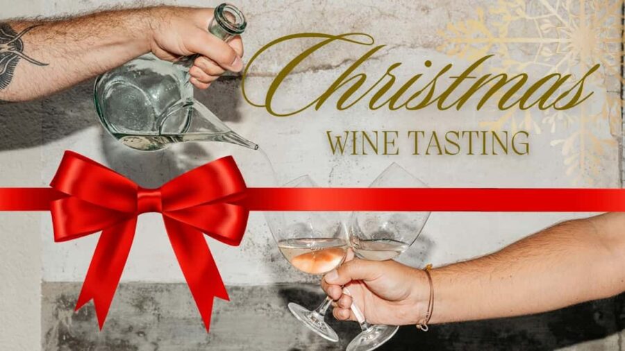 Christmas Wine Experience by the Sea: Barcelona coast - The Expertise Behind the Tastings