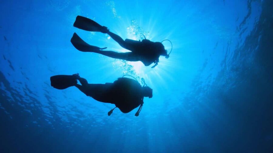 Cilento: 12-meter dive for experts in Sauco Bay - Meeting point and transportation details in Cilento