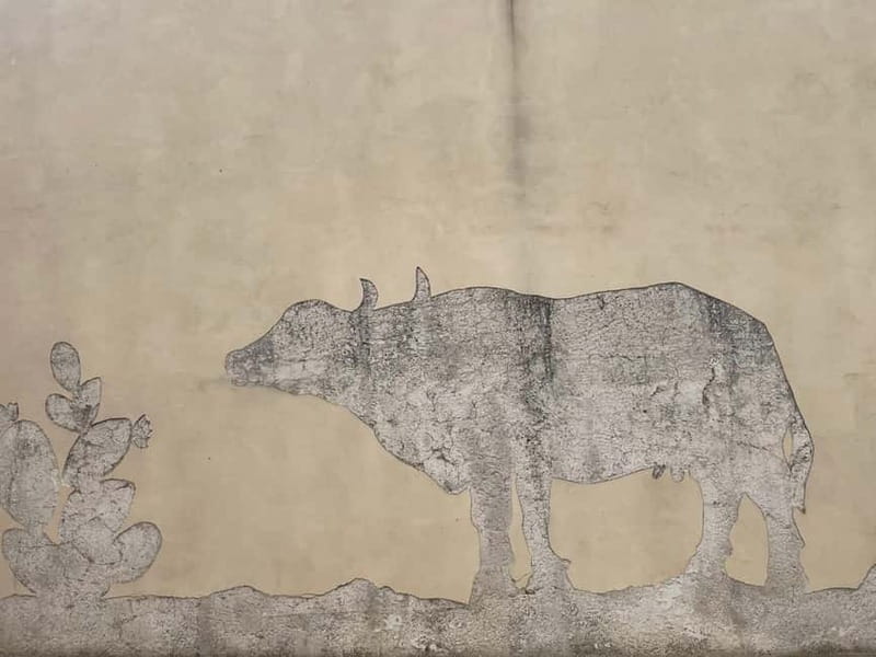 Cilento tour with mozzarella tasting for cruise passengers - Exploring Agropoli’s Historic Center