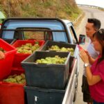 Cinque Terre Private Day Trip from Florence - From Florence to the Colorful Villages of Cinque Terre