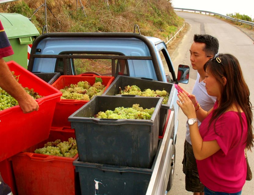 Cinque Terre Private Day Trip from Florence - From Florence to the Colorful Villages of Cinque Terre