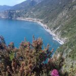 Cinque Terre unforgettable hiking experience - Walking Along Vineyards to Manarola
