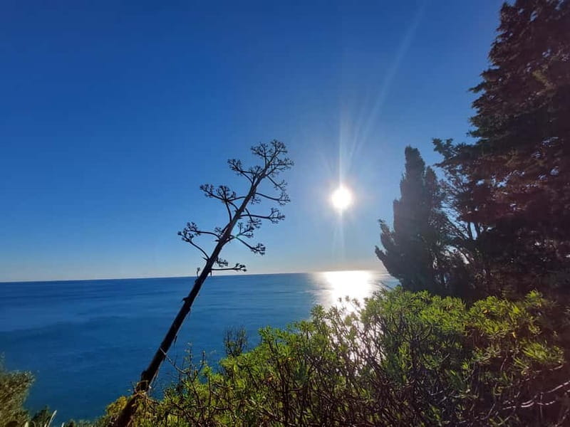 Cinque Terre Villages Walking panoramic tour - Walking the Path from Riomaggiore to Manarola