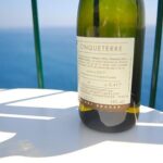 Cinque Terre Wine Tasting and Boat Trip - Scenic Boat Trip: Views of Cinque Terre from the Water