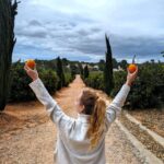 Citrus Treasures: Exploring Valencia's Orange Grove - Enjoy a Tasting Feast of Valencian Citrus Products