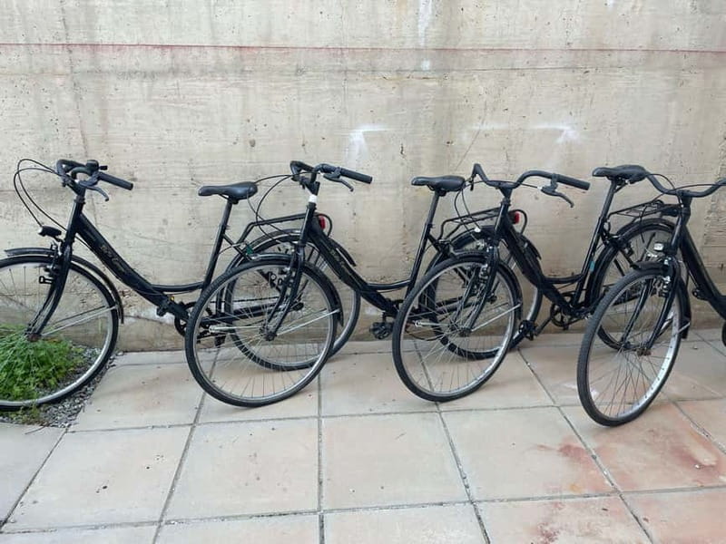 CITYBIKE/ easy Classic FOR 24 hours with Free delivery! - The Easy Citybike: No Gears, Pure Simplicity