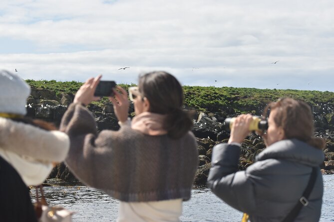 Classic Puffin Watching Cruise from Downtown Reykjavík - Exploring the Bird Islands: Akurey and Lundey