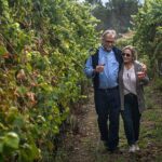 Classic Tasting | Quinta de Santa Cristina Vinho Verde - Tasting Three Wines Paired with Regional Snacks