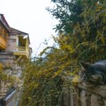 Classic Tbilisi Walking Tour - Exploring the Streets of Sololaki and Gudiashvili Square