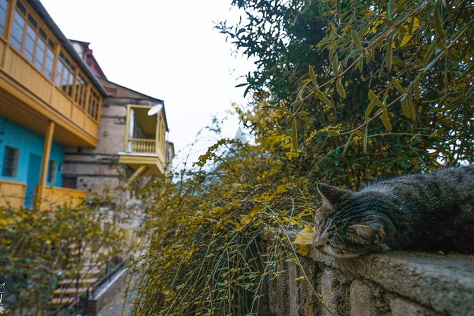 Classic Tbilisi Walking Tour - Exploring the Streets of Sololaki and Gudiashvili Square