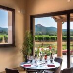 Classic Tour & Monovarietal Wines Tasting - Exploring the Winery Layout and Production Areas