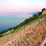 Classic Tour with Wine Tastings from Dubrovnik - From Dubrovnik to the Peljesac Peninsula: Scenic Drive and Wineries