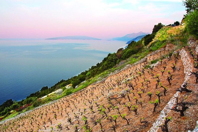 Classic Tour with Wine Tastings from Dubrovnik - From Dubrovnik to the Peljesac Peninsula: Scenic Drive and Wineries