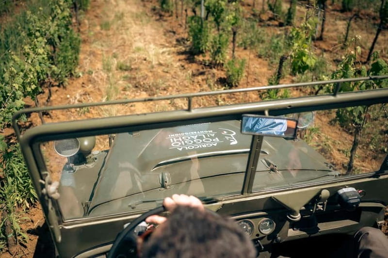 Classic: Tuscan Vineyard Old Jeep Tour, Wine Tasting & Lunch - Savoring a Traditional Tuscan Lunch