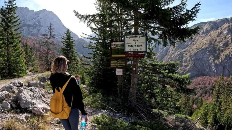 Climbing Mount Magli: Visit to Trnovako lake - The Hike to Mount Magli’s Summit: Challenging and Rewarding