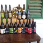 Close to Budapest:Wine Tasting in a Small Cozy Family Winery - Exploring the Cellar and Its History