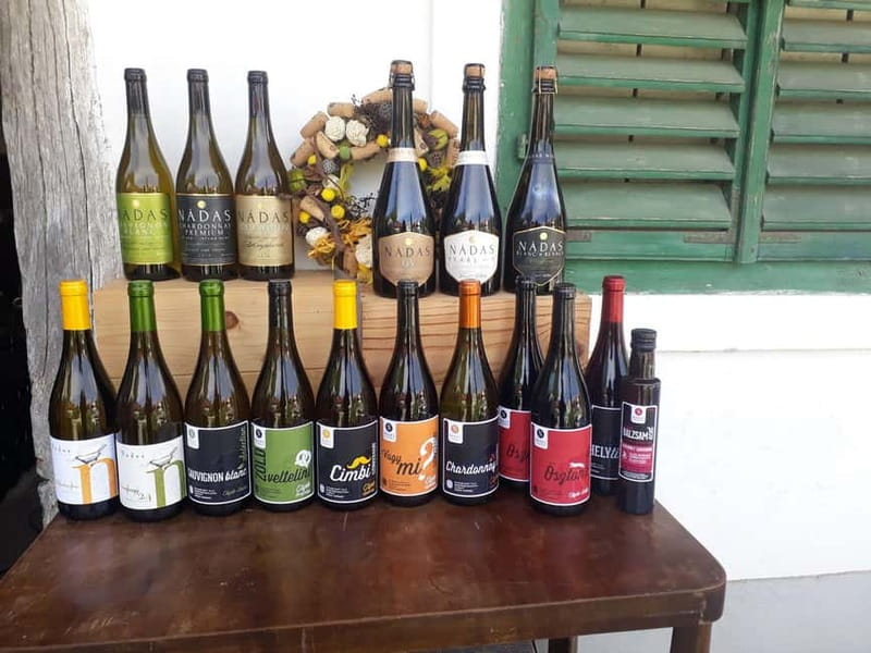 Close to Budapest:Wine Tasting in a Small Cozy Family Winery - Exploring the Cellar and Its History