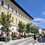 Cluj Insight: Walking tour with a travel writer & historian - Exploring Parcul I.L. Caragiale and Piaa Muzeului