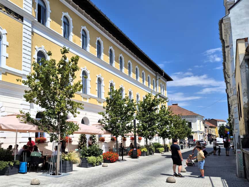 Cluj Insight: Walking tour with a travel writer & historian - Exploring Parcul I.L. Caragiale and Piaa Muzeului