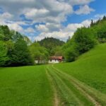 Cluj to Rosia: Day Trip to Ferrata and pittoresque country - Exploring the Beautiful Countryside of Bihor County