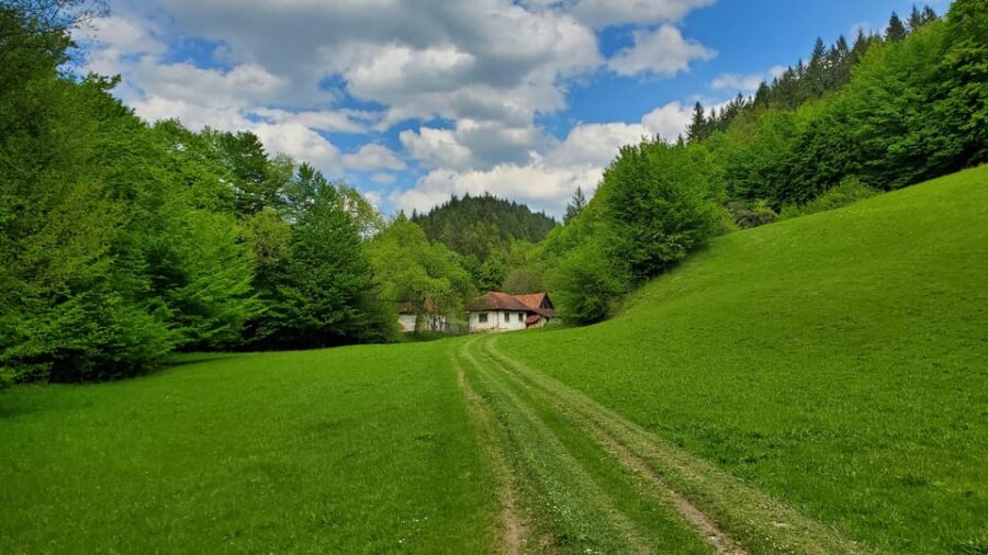 Cluj to Rosia: Day Trip to Ferrata and pittoresque country - Exploring the Beautiful Countryside of Bihor County