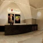 Cocktoil Experience: immerse yourself in a journey dedicated to alcohol! - The Origin and Setting of the Cocktoil Tour in Ostuni