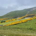 Codebreakers' Choice: Rosslyn Chapel & Da Vinci Code - Discover the Mystique of Rosslyn Chapel