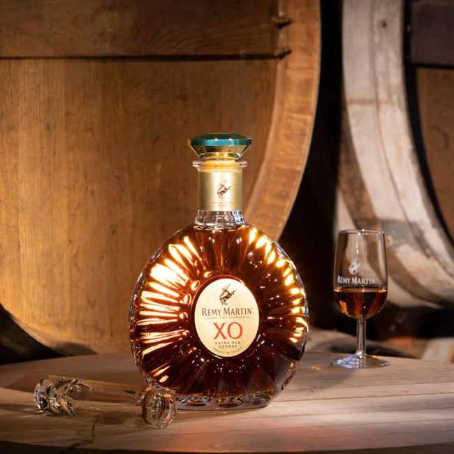Cognac: Rémy Martin 300th Anniversary Tour - Discover the Historic House of Rémy Martin in Cognac
