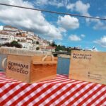 Coimbra: Barca Serrana Traditional Boat Trip - From Parque to Mondego River: The Starting Point and Scenic Route