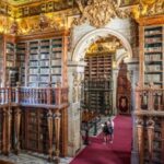 Coimbra Best Of: Private walking tour with tickets - Starting at Dom Dinis: The Meeting Point for Your Coimbra Adventure