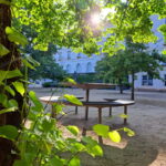 Coimbra Botanical Garden Tour: Storytelling Through Nature - Walking Through Every Section of the Garden