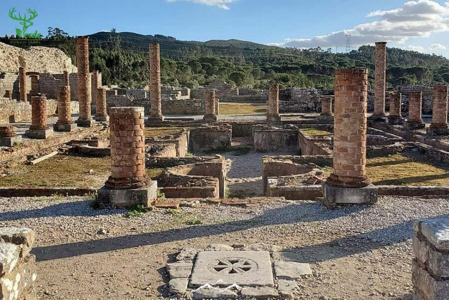 Coimbra: Conimbriga Ruins and Roman Heritage Tour - From the Castellum to the Roman Aqueduct
