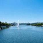 Coimbra Experience: River Cruise and Historic Tour - Scenic Boat Ride on the Mondego River