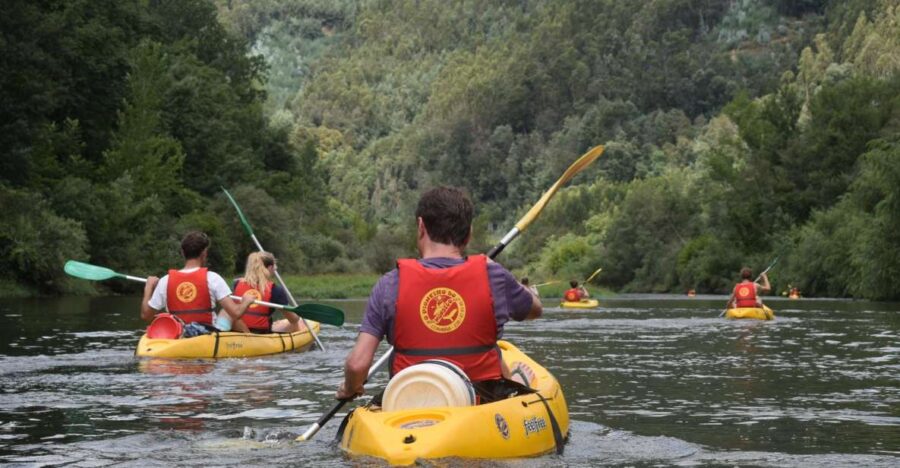 Coimbra: Mondego River Kayaking Tour - Starting Point: Penacova and Multiple Pick-up Locations
