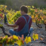 Coimbra: Prior Lucas Wine Experience - Discover the Prior Lucas Winery in the Bairrada Wine Region