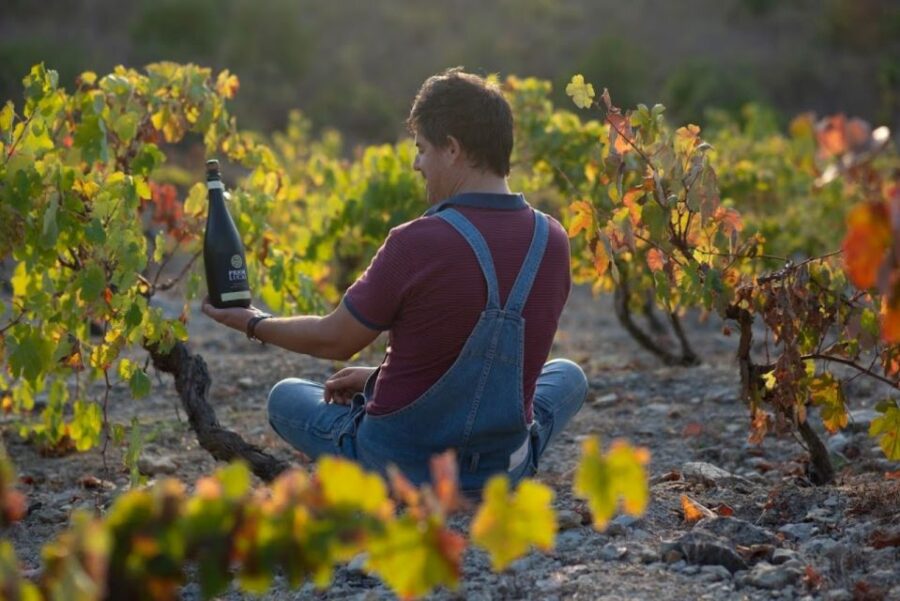 Coimbra: Prior Lucas Wine Experience - Discover the Prior Lucas Winery in the Bairrada Wine Region