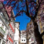 Coimbra's Historical Highlights - Meeting Point and Tour Duration in Coimbra