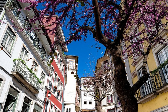 Coimbra's Historical Highlights - Meeting Point and Tour Duration in Coimbra