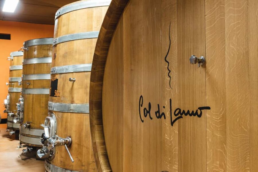 Col di Lamo Organic Boutique Vertical Experience - Exploring the Vineyards and Terra