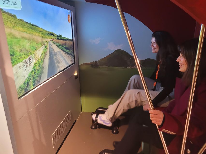 Colmar: Alsace Wine Museum Entrance Ticket - Enjoy Tastings and Interactive Exhibits