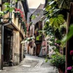 Colmar: Private Guided Walking Tour - Discover the Saint-Martin Gothic Church