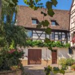 Colmar: Unusual Walking Tour with a local guide - Exploring Medieval Streets and Life in Old Colmar