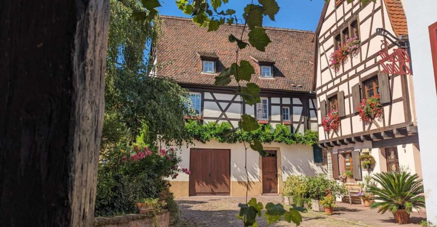 Colmar: Unusual Walking Tour with a local guide - Exploring Medieval Streets and Life in Old Colmar