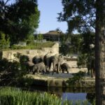 Cologne: Cologne Zoo and Aquarium Entry Ticket - Starting Point and How to Reach Cologne Zoo