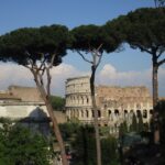 Colosseum Express Tour with Local Guide - Inside the Colosseum: What You Will See During the Tour
