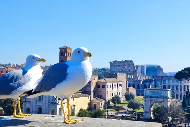 Colosseum, Roman Forum & Palatine Hill - Group Tour - Ascending Palatine Hill: The Imperial Residence of Rome